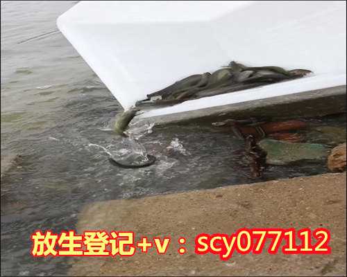 贵阳放生淡水鱼在哪里，贵州省全省民族宗教领域重大风险防范化解暨“双培”