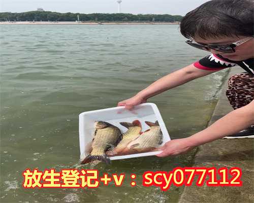 鱼籽怎么放生桂林2023年5月放生有好吉日吗【放生甲鱼有什么寓意嘛】