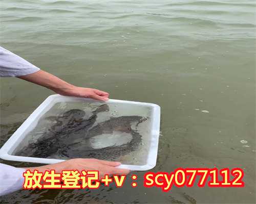 惠州红鲤鱼放生，惠州适合放生鱼的公园，9月适合放