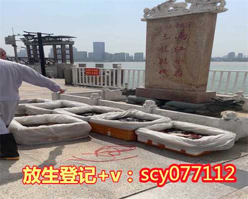 青岛可放生的水域