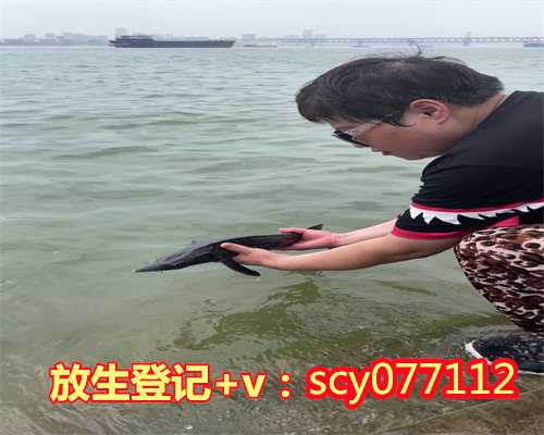 滁州放生工作总结，滁州放生组的联系方式，放生9条鱼什么意思