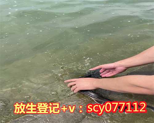 滁州寺庙放生,滁州放生文疏的样本,滁州嘉陵江可以放生鱼吗