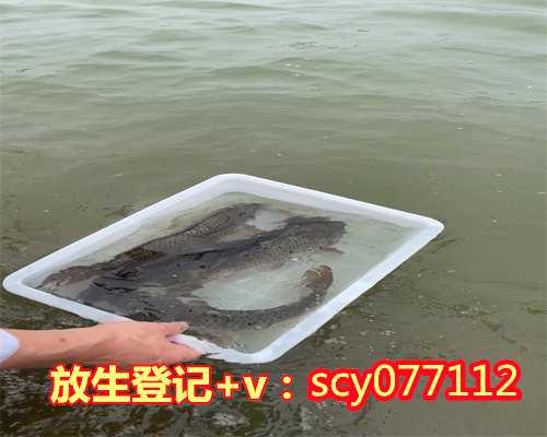 黑龙江公园放生小鱼，黑龙江省绥化