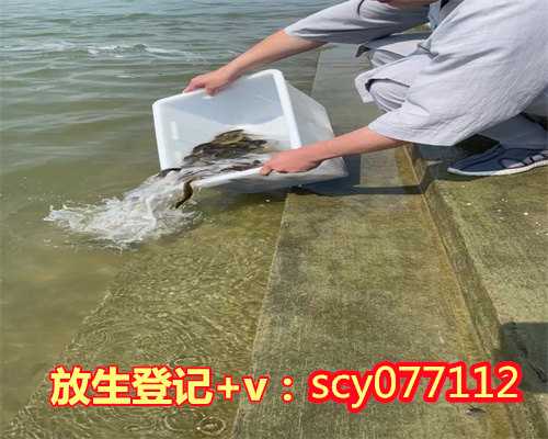 温州哪里放生动物最好