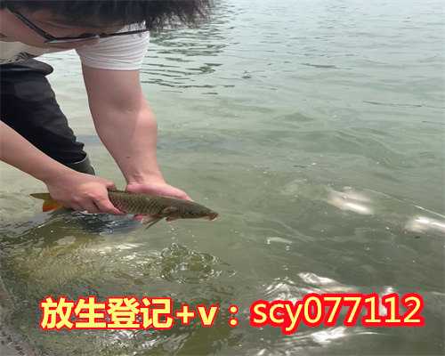 徐州甲鱼怎么放生,徐州鸟放生地点,徐州哪个公园可以放生鸭子
