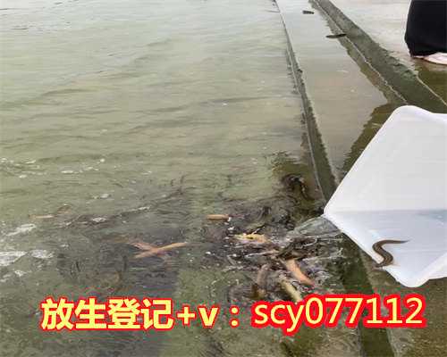 柳州西樵山放生池,柳州冬天放生黑鱼会冻死吗,柳州广东哪里适合放生
