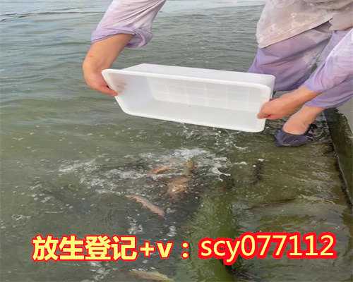 <strong>上海允许放生的水域有哪些鱼类，上海天光寺2016水陆</strong>