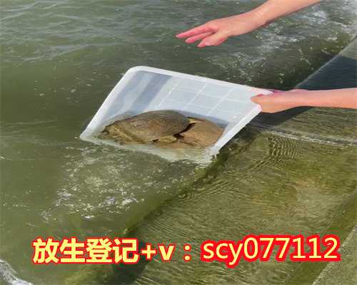 滁州放生怎么念，滁州2023年9月哪天适合放生鱼呢，滁州放生多少次才能消完业