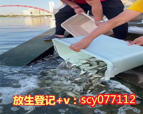 <b>贵州为何放生，贵州简单放生鱼仪规，养殖的甲鱼可以放生吗</b>