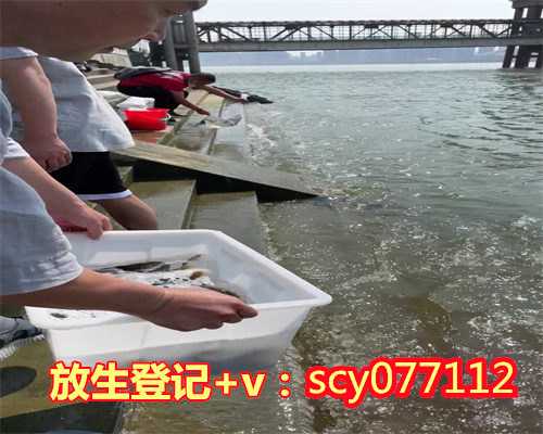 慈悲放生滁州1994年滁州西湖放生【放生螃蟹有灵性吗】